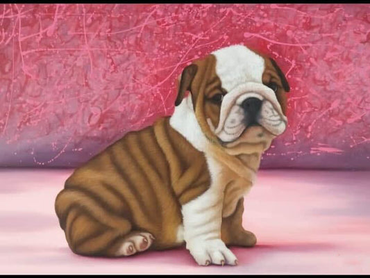 BULLDOG ROSA