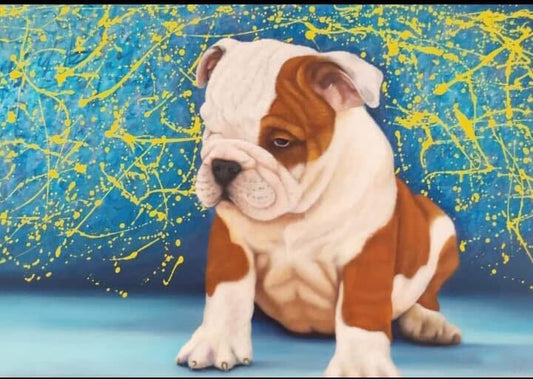 BULLDOG AZUL Y AMARILLO